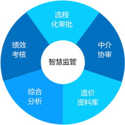 建設工程項目管理與投資管理系統 龍騰暢想在政府投資領域的領跑實踐